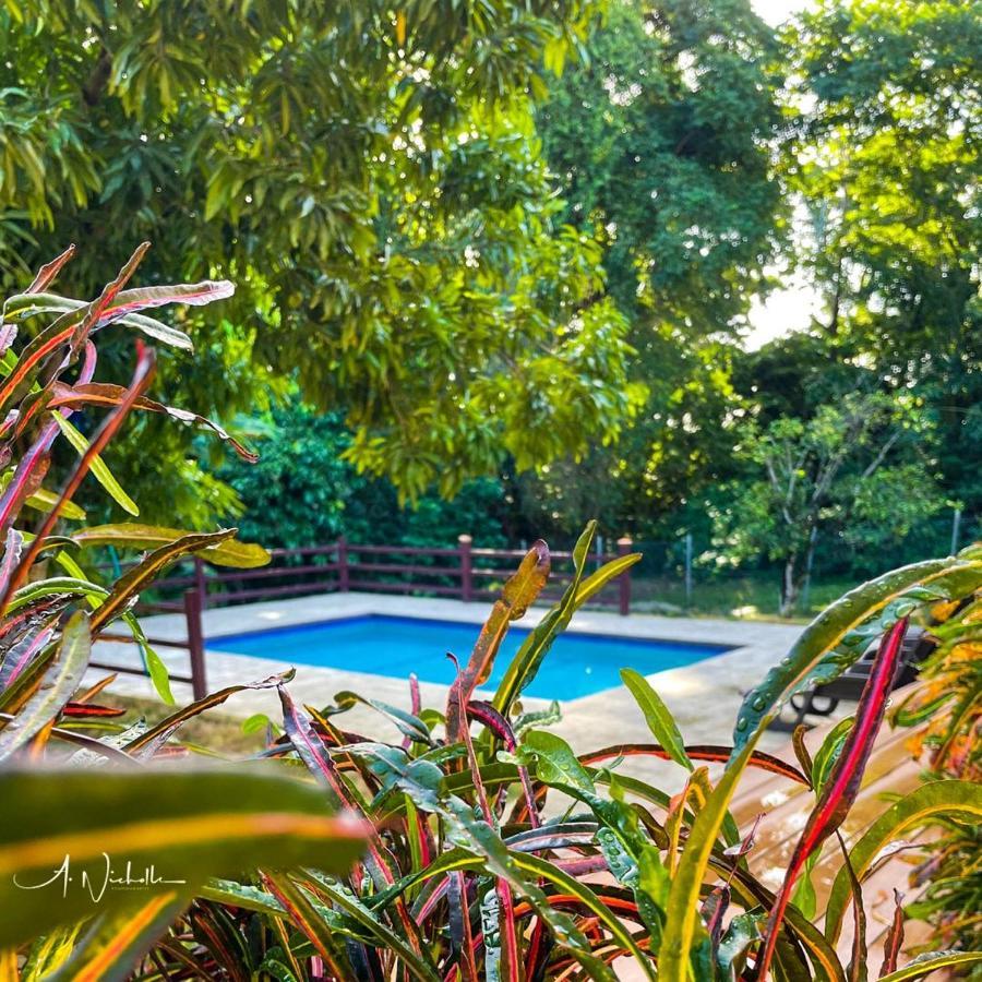 Tropical Apartments Tobago Scarborough Exterior foto